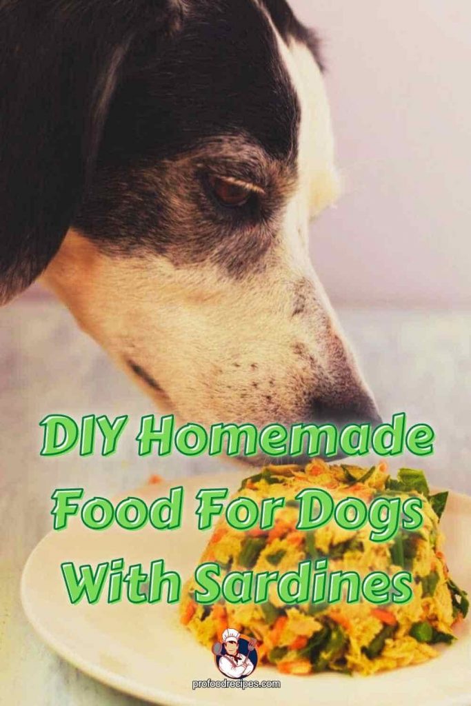 Homemade Dog Food With Sardines