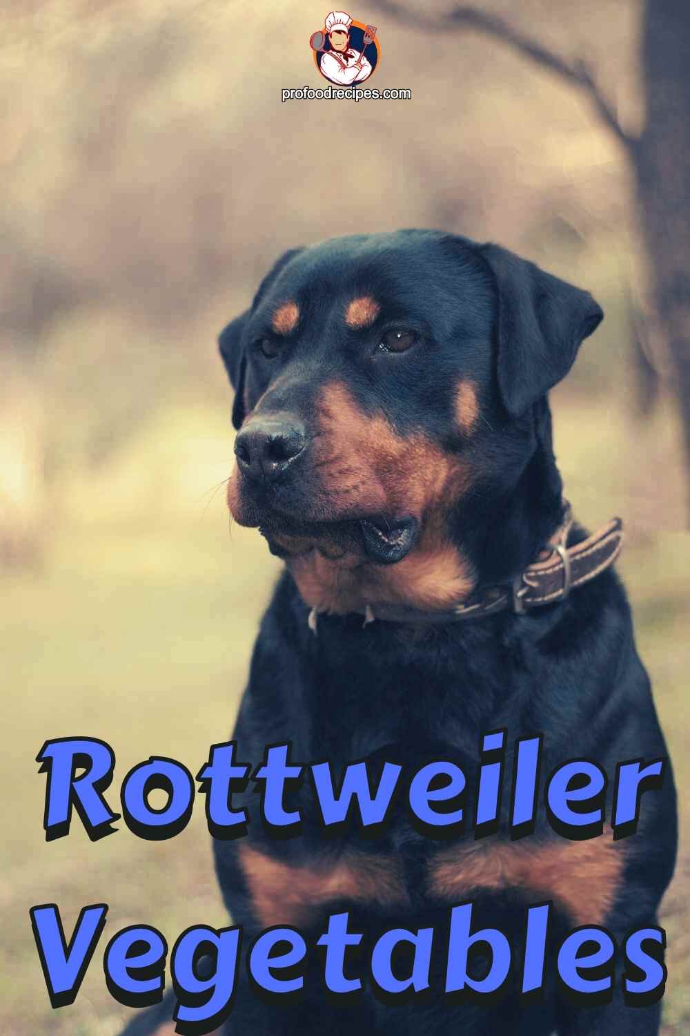 Rottweiler Vegetables What Vegetables Are Good for Rottweilers?