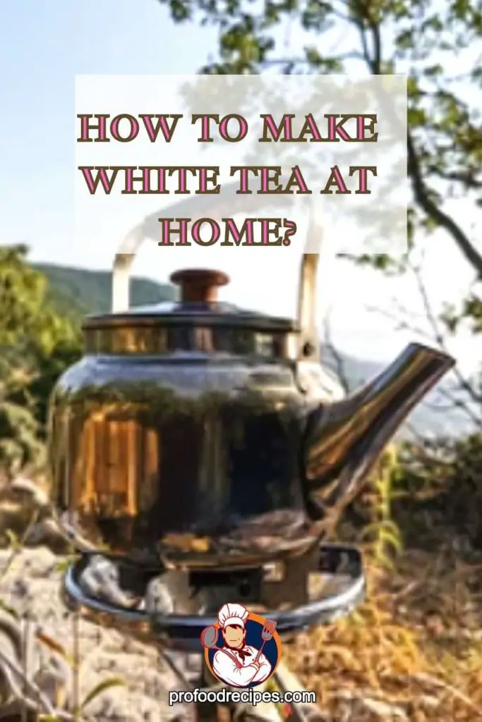 How to Make White Tea at Home