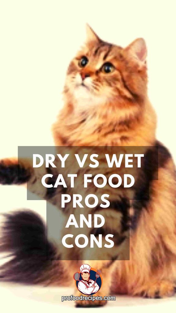 Dry Vs Wet Cat Food Pros and Cons