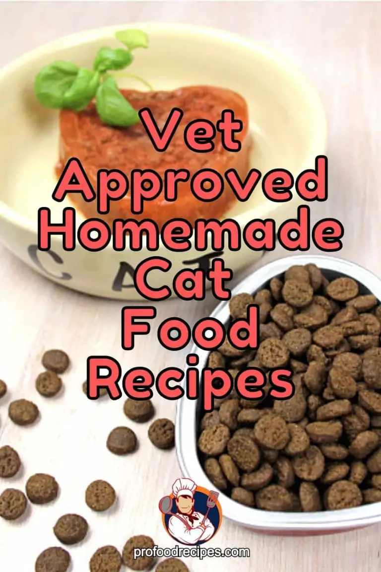 Vet Approved Homemade Cat Food Recipes For Kidney Disease Free Ideas