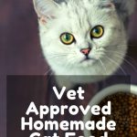 7- Best Vet Approved Homemade Cat Food Recipes