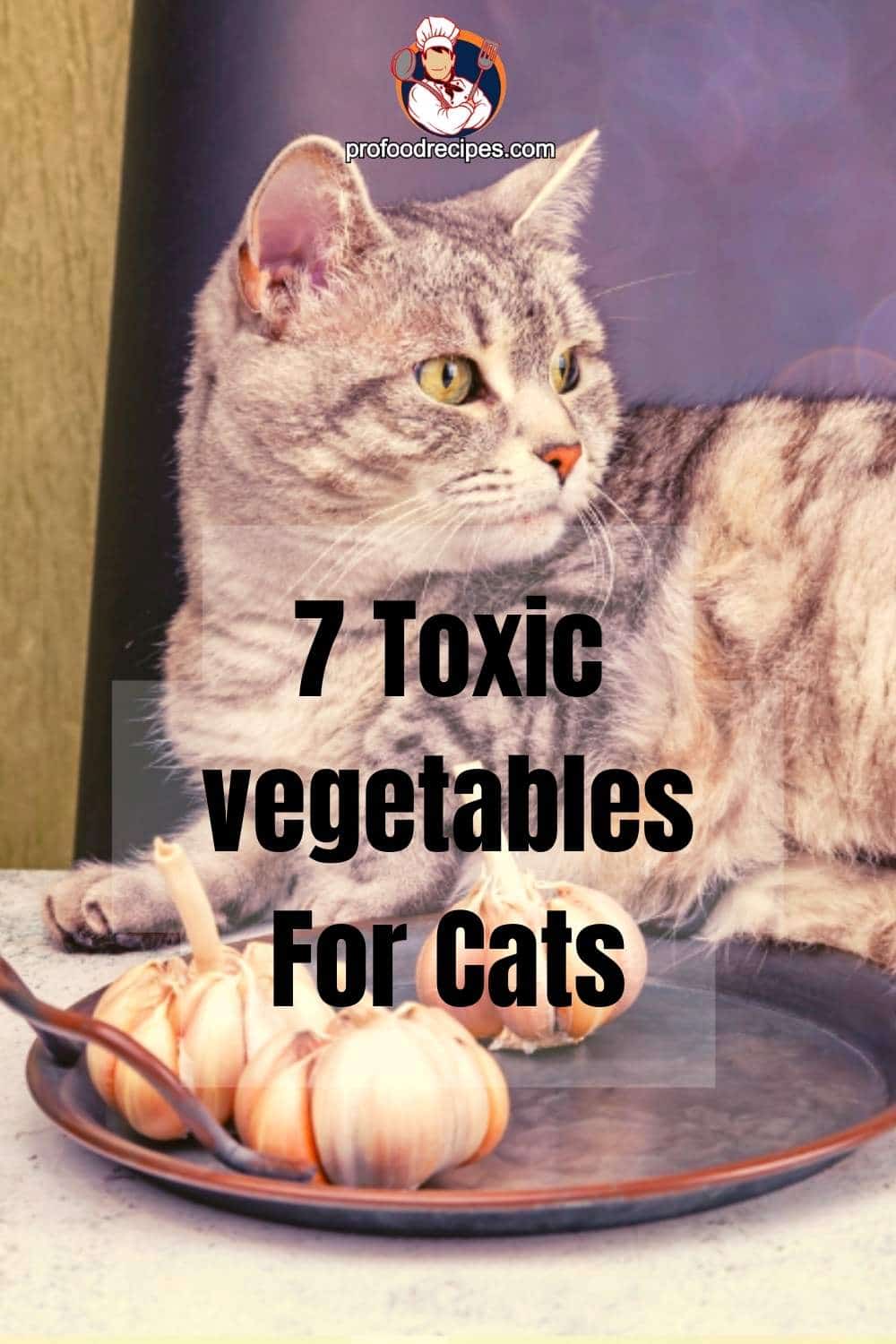 What Vegetables Are Bad for Cats?