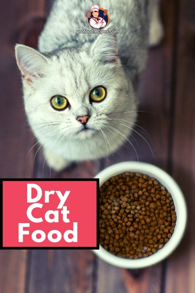 Dry Cat Food