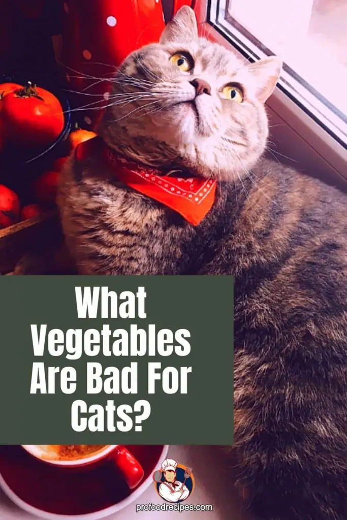 What Vegetables Are Bad for Cats?