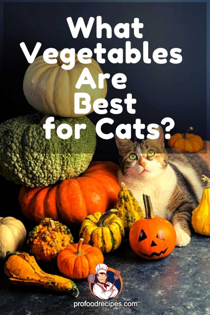What Vegetables Are Best for Cats?