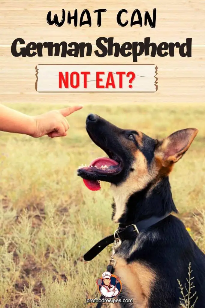 What can German Shepherds not Eat