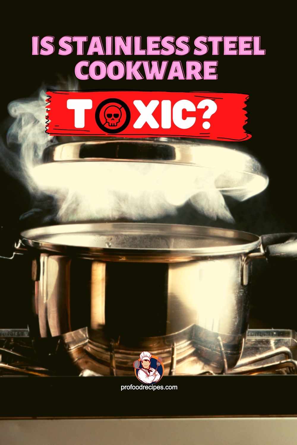 Is Stainless Steel Cookware Toxic   Is Stainless Steel Cookware Toxic 