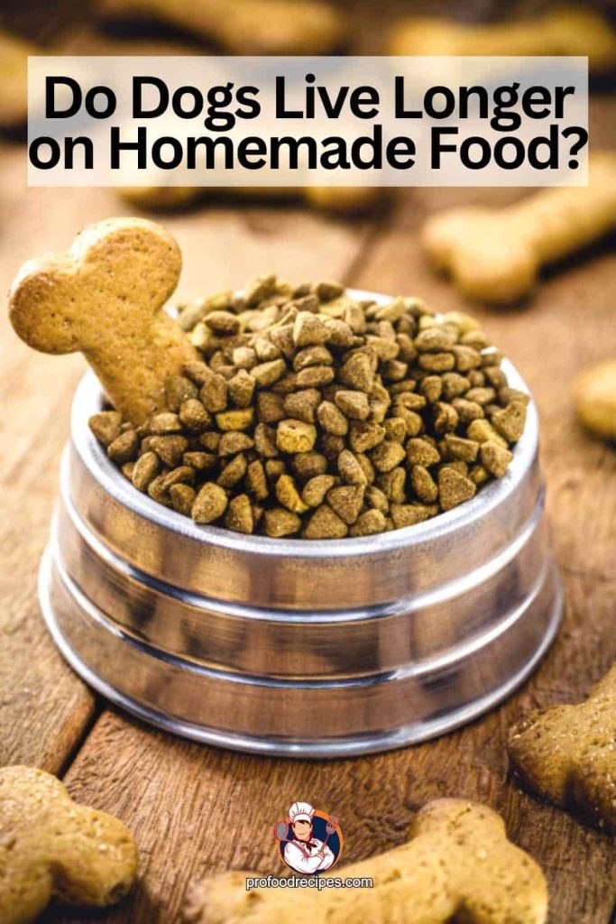 Do Dogs Live Longer on Homemade Food
