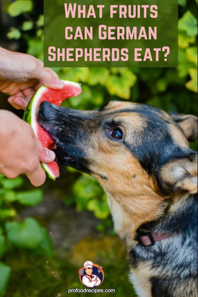 What Fruits can German shepherds Eat