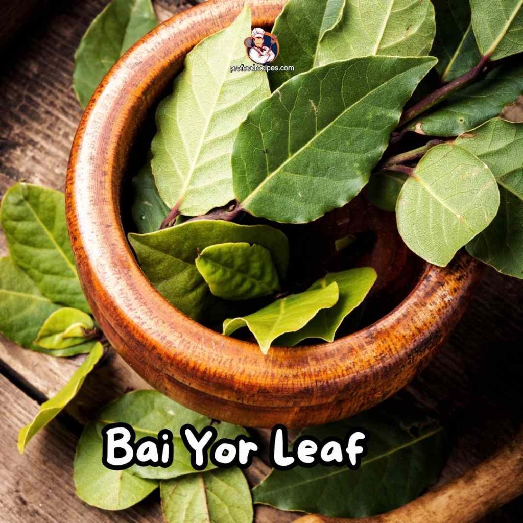 Bai Yor Leaf