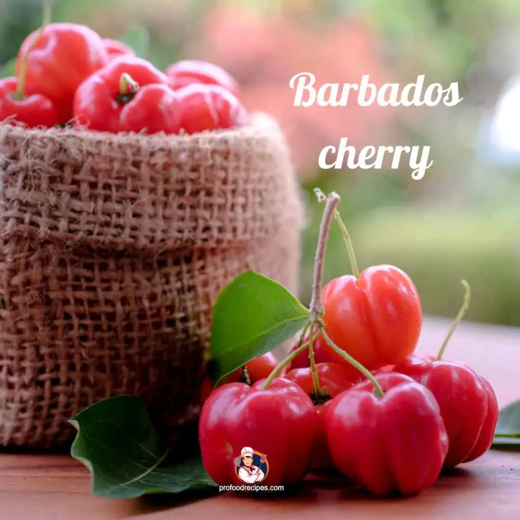 Barbados cherry
