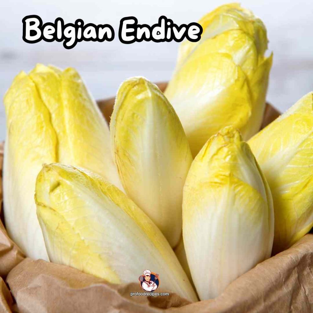 Belgian Endive