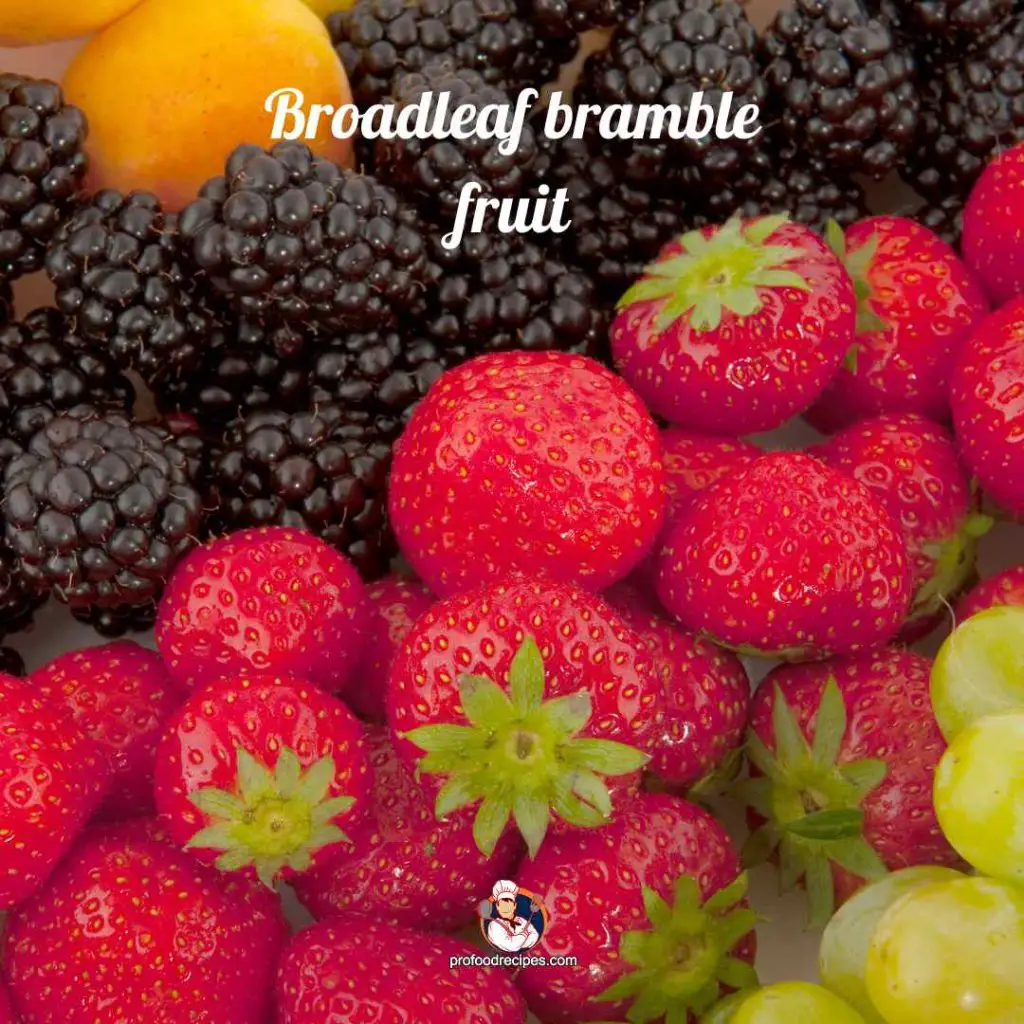 Broadleaf Bramble Fruit