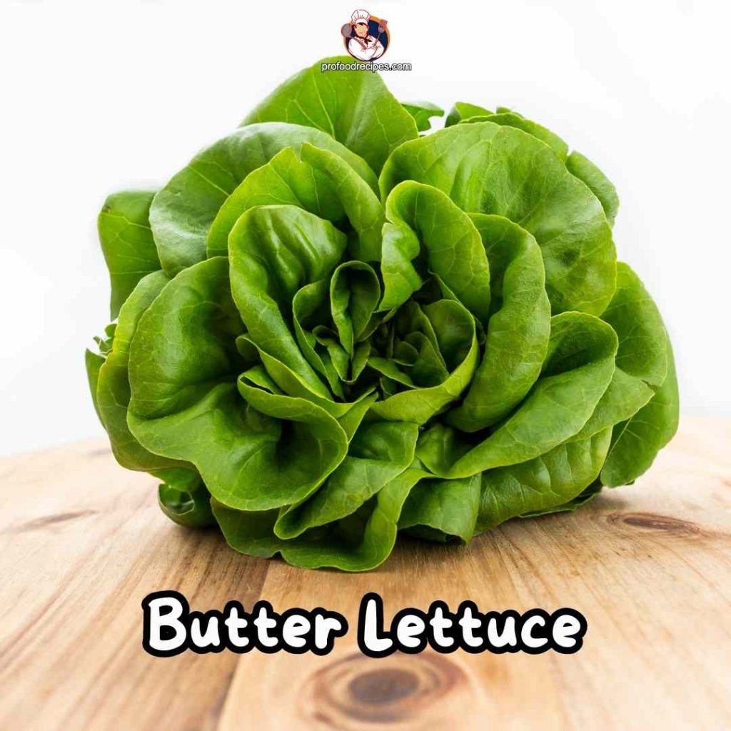 Butter Lettuce
