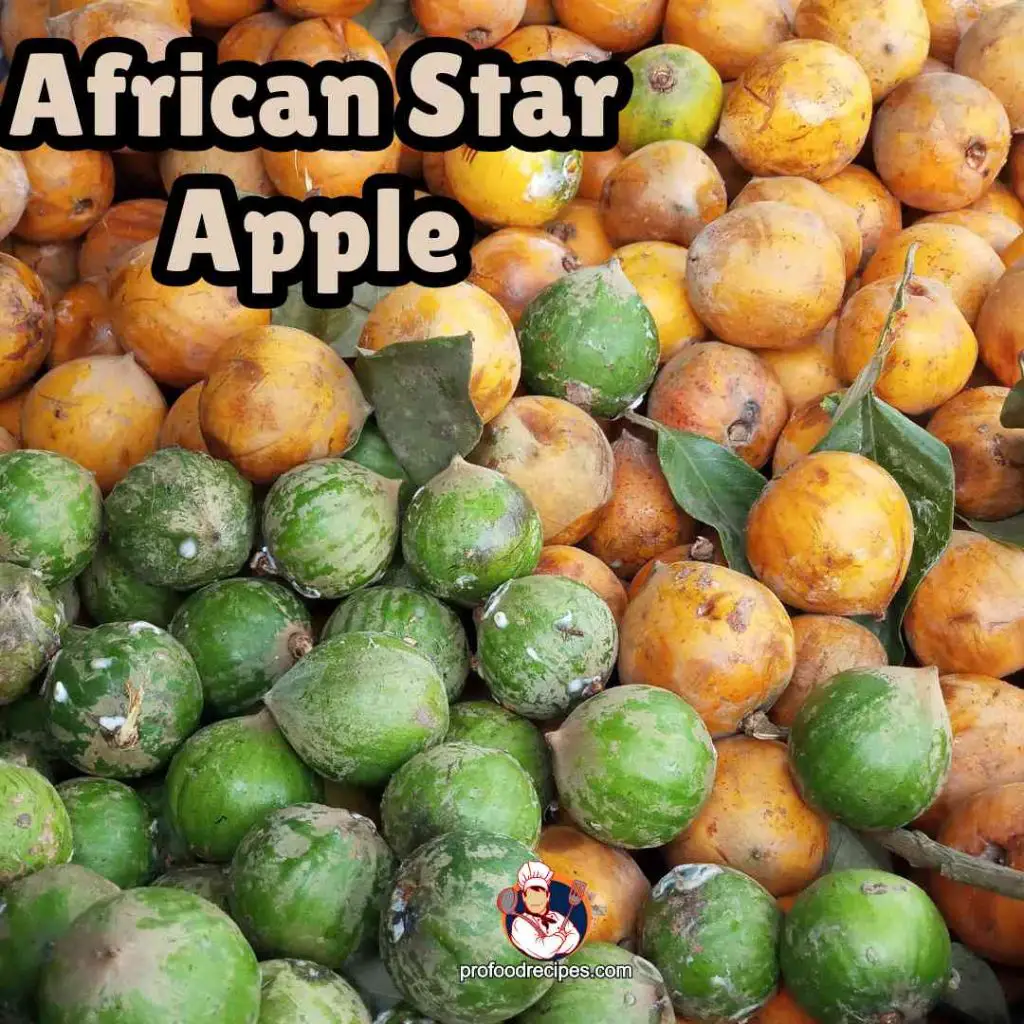 African Star Apple