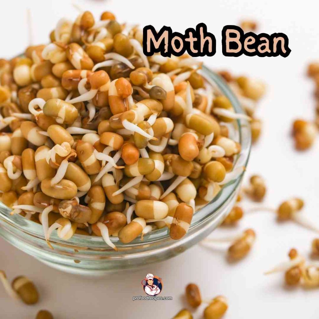 Moth Bean