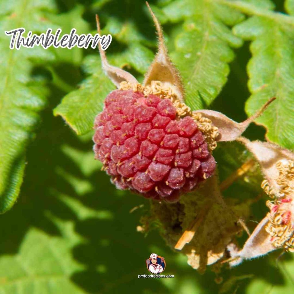 Thimbleberry