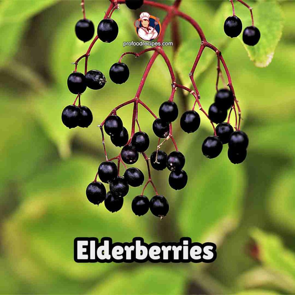 Elderberries 