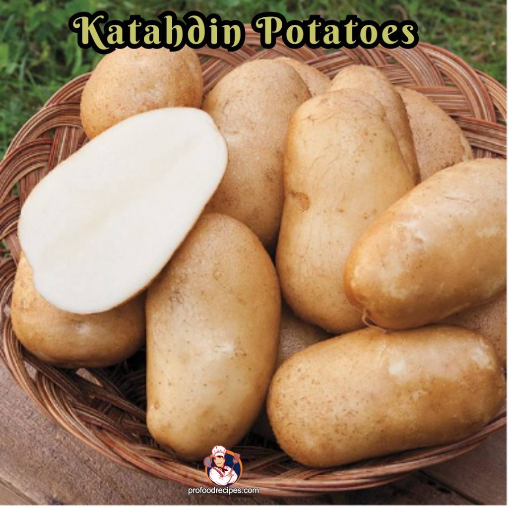 Katahdin Potatoes