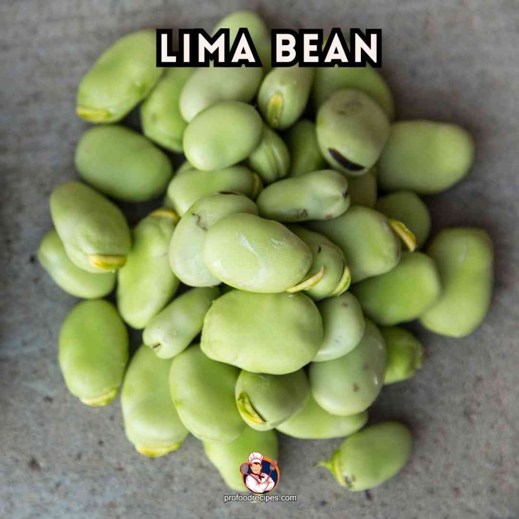 Lima Bean