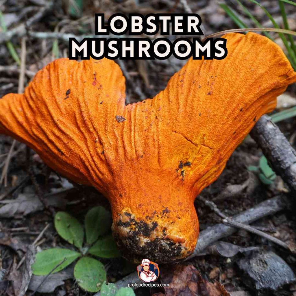 Lobster Mushrooms
