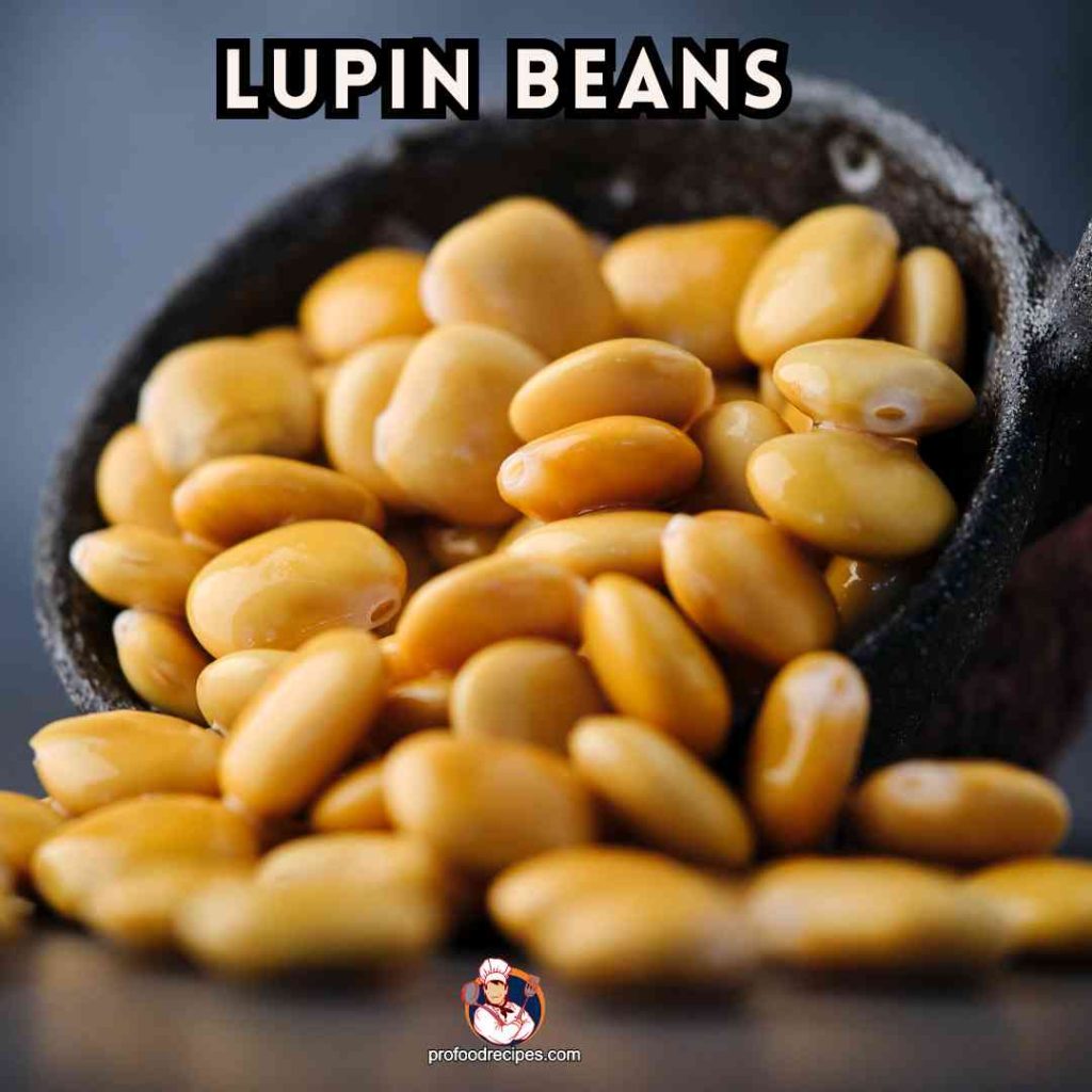 Lupin Beans