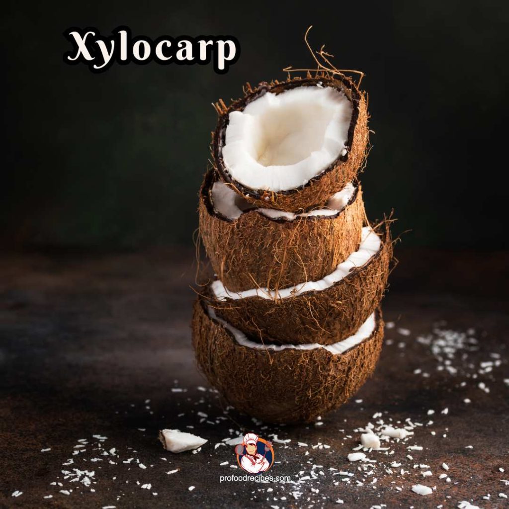 Xylocarp