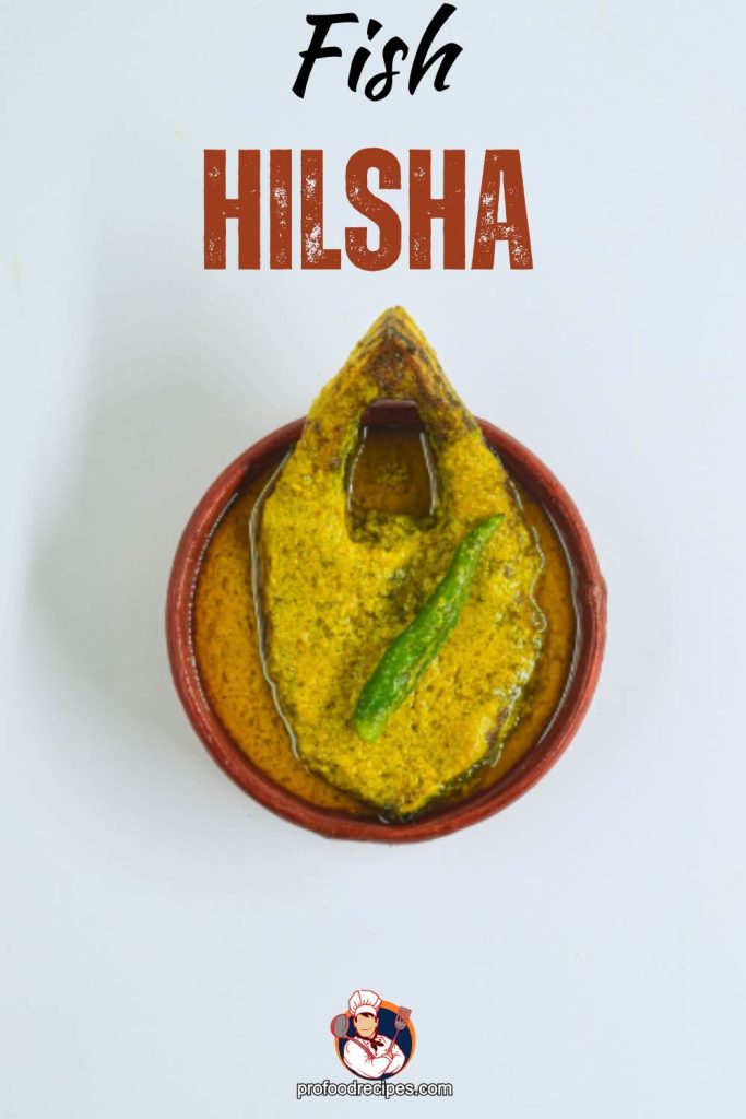 Fish Hilsa