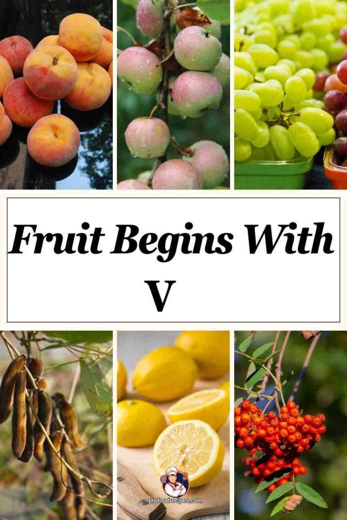 Fruit begins with v