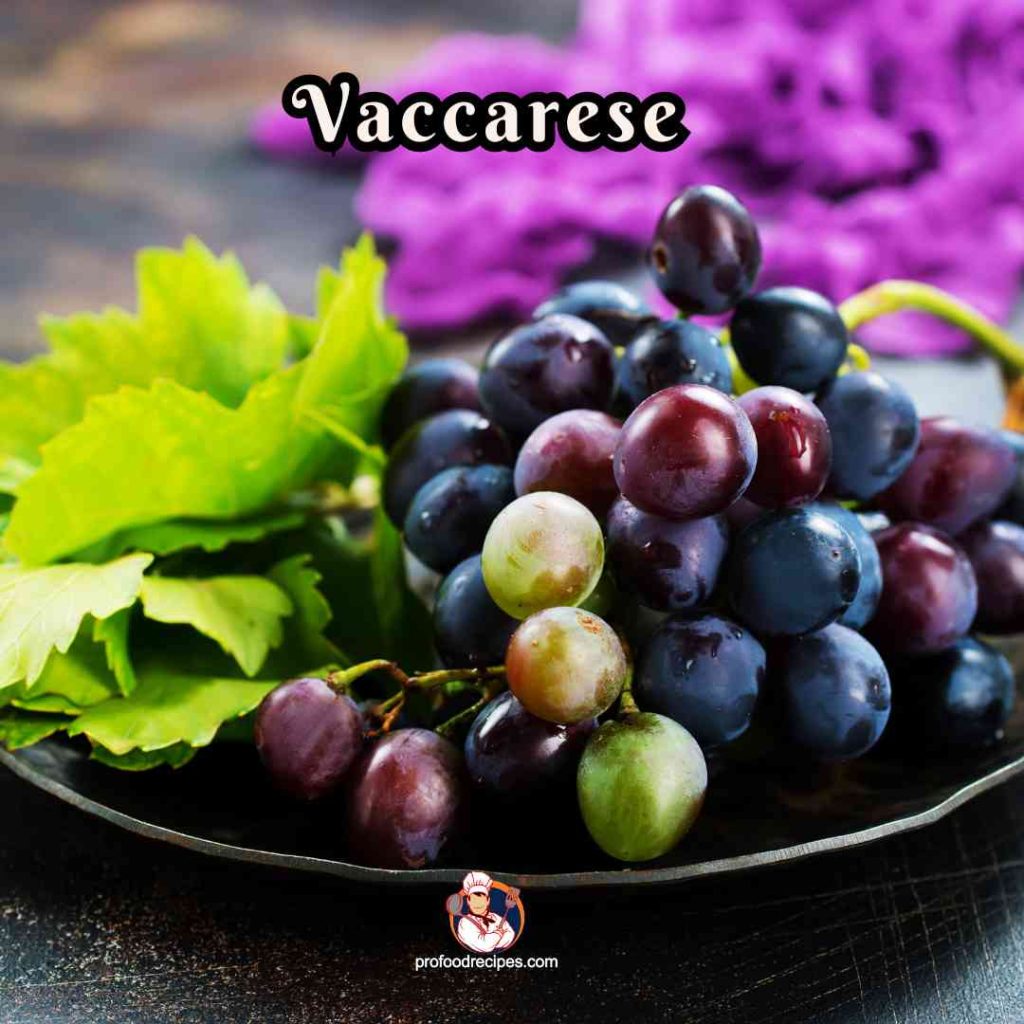 Vaccarese