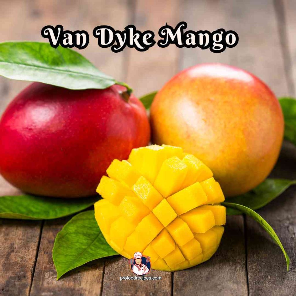 Van Dyke Mango
