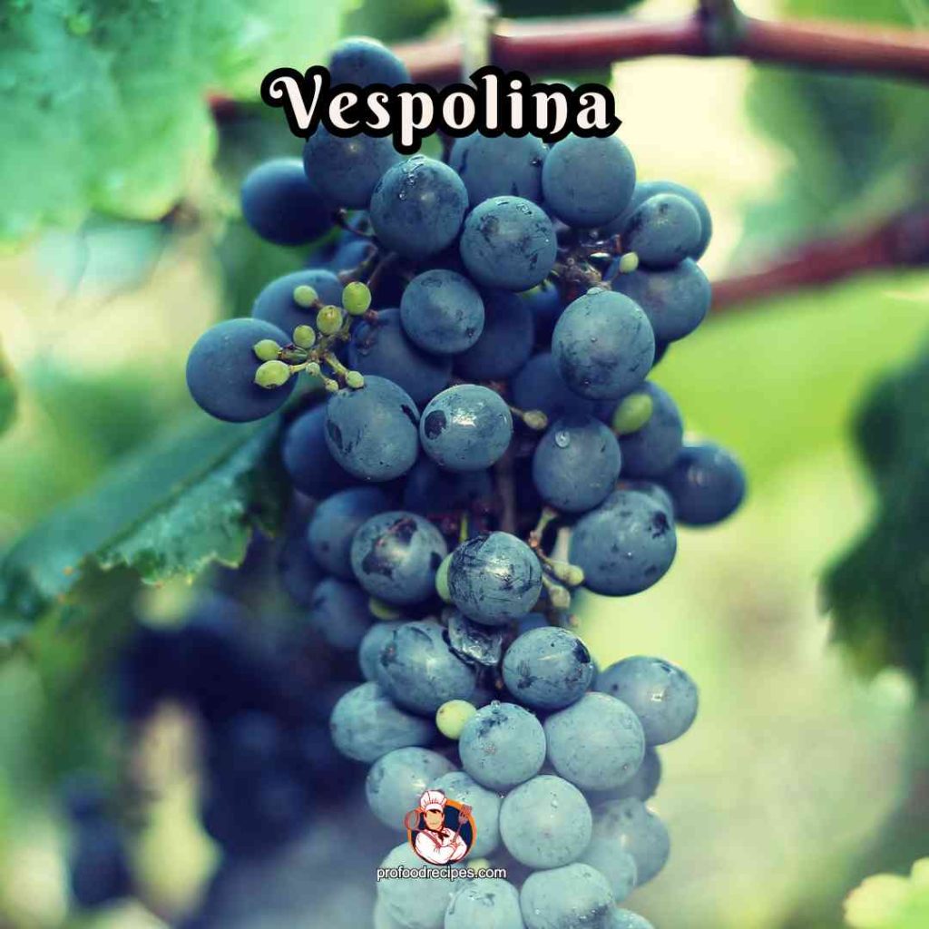 Vespolina