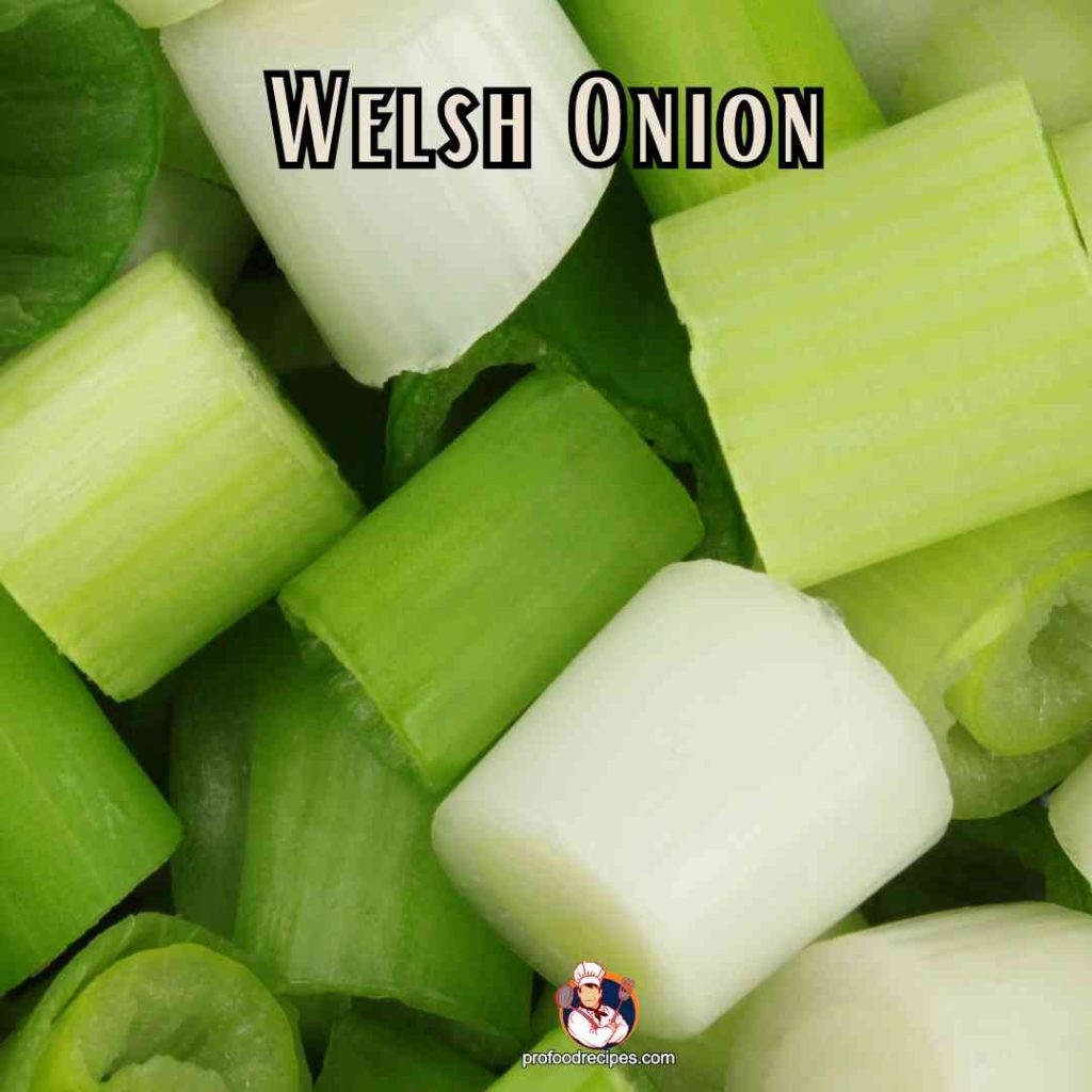 Welsh Onion