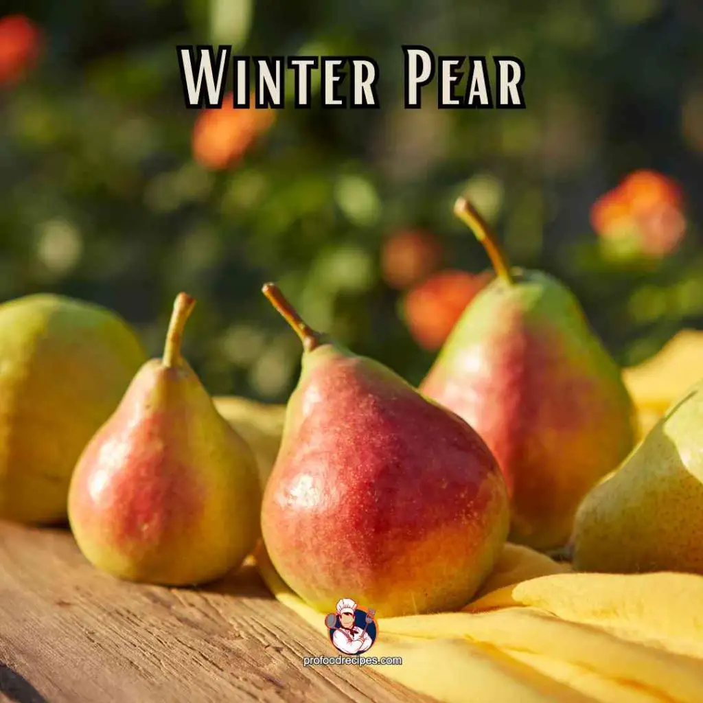 Winter Pear