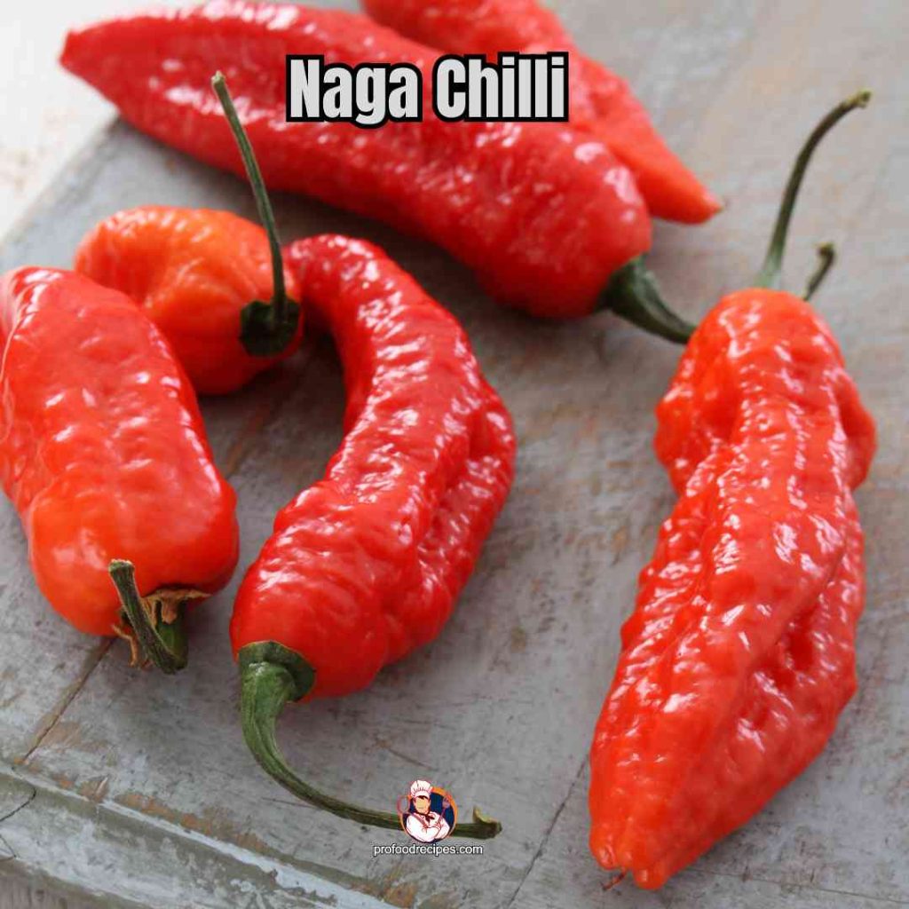 Naga Chilli