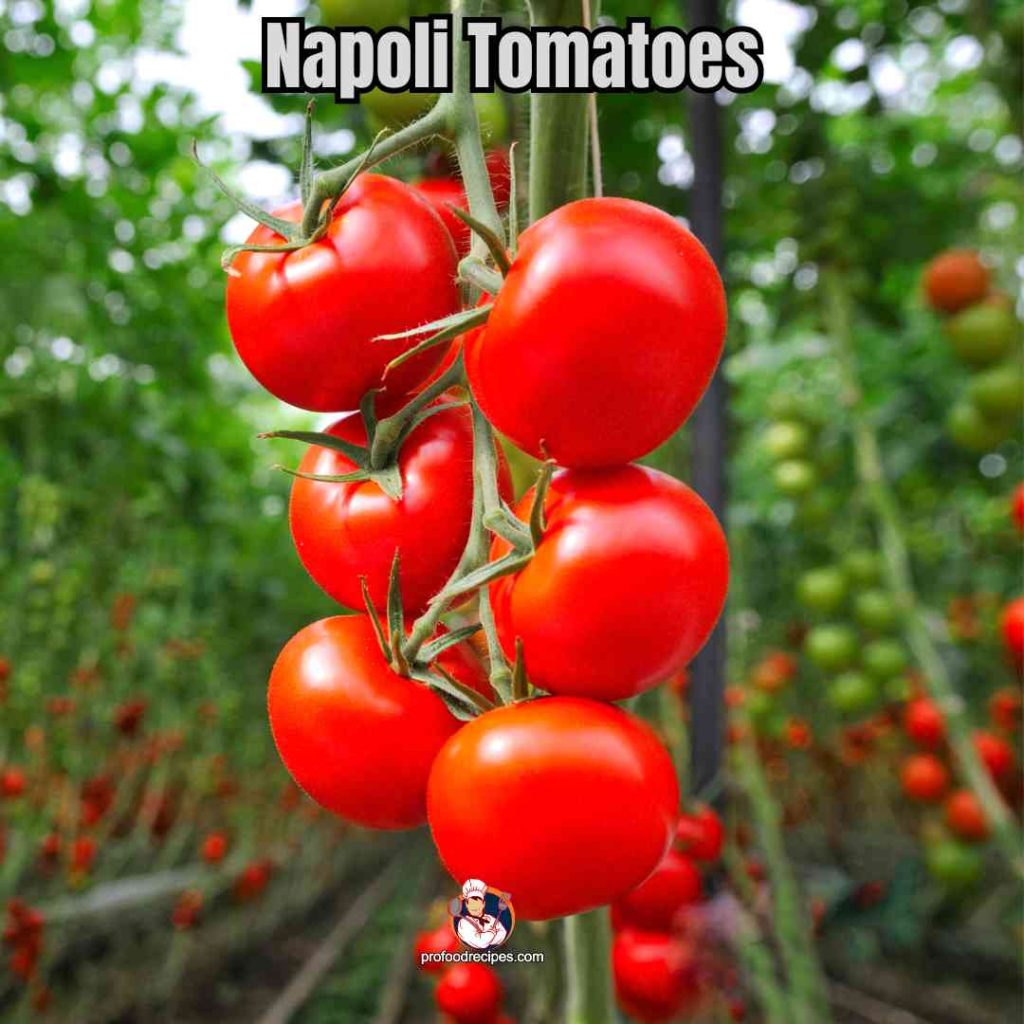 Napoli Tomatoes