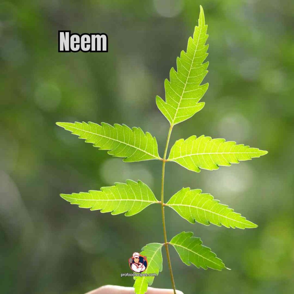 Neem
