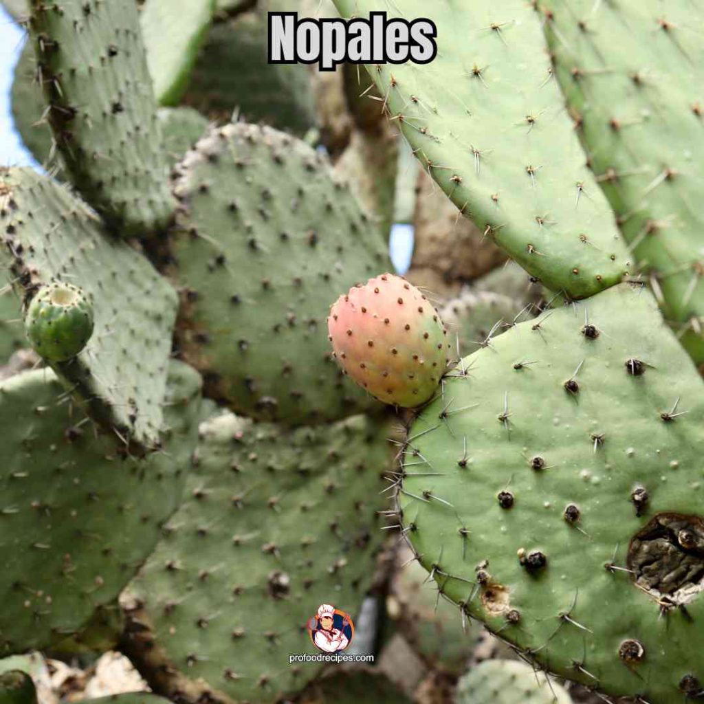 Nopales