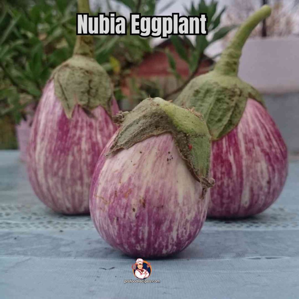 Nubia Eggplant