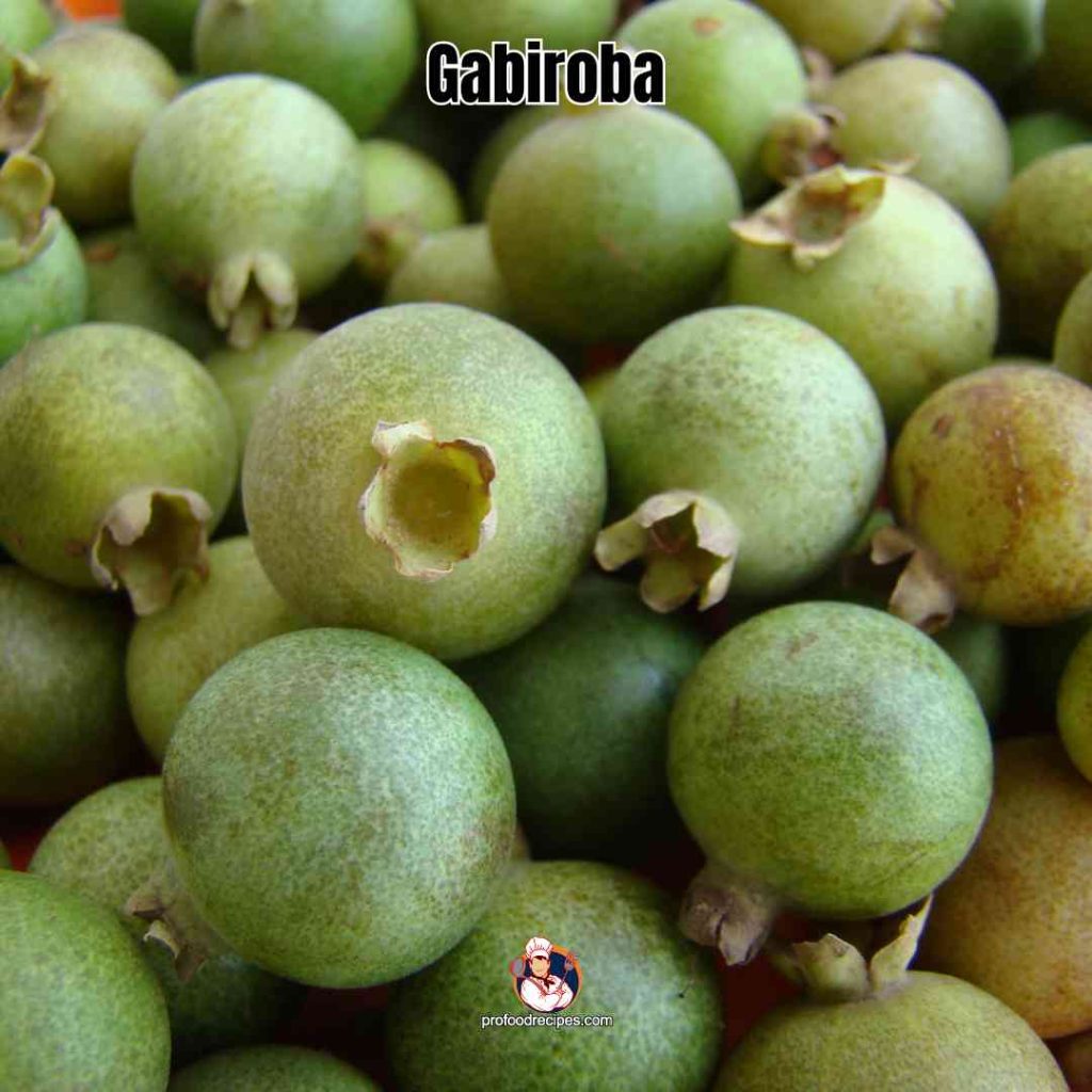 Gabiroba
