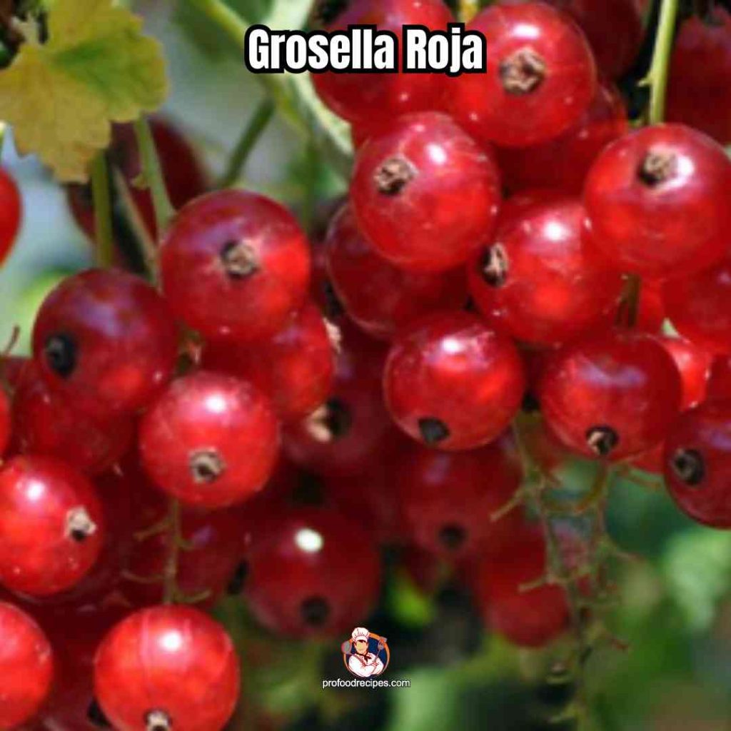 Grosella Roja